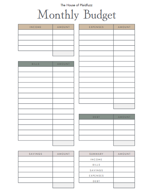screenshot of the beginner's guide to budgeting worksheet
