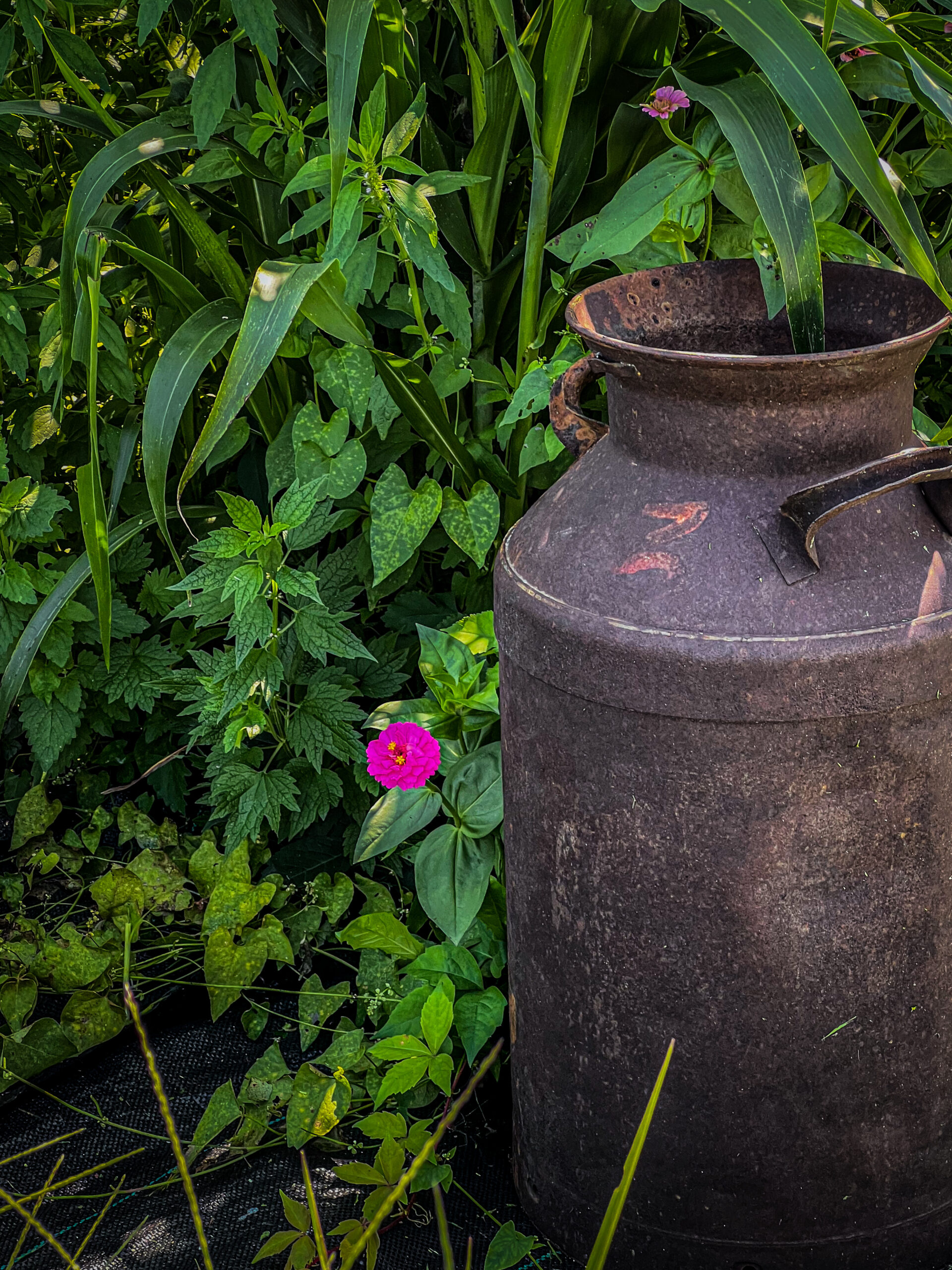 ways to create a self-sufficient home