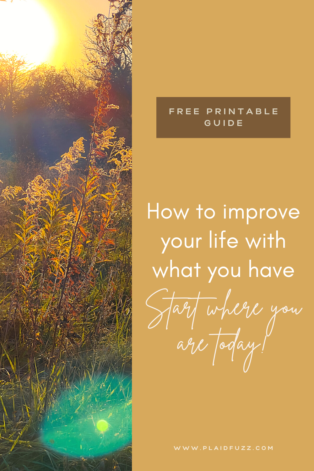improve your life