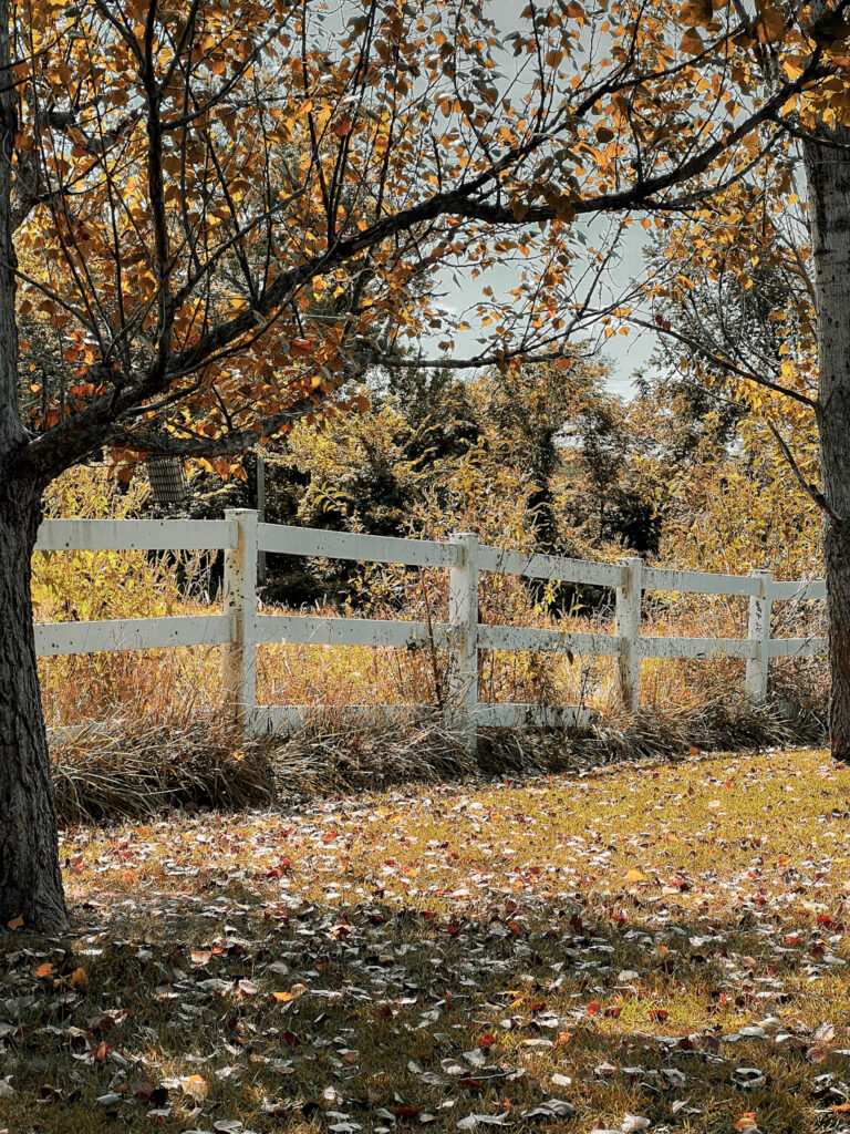 how to find solitude